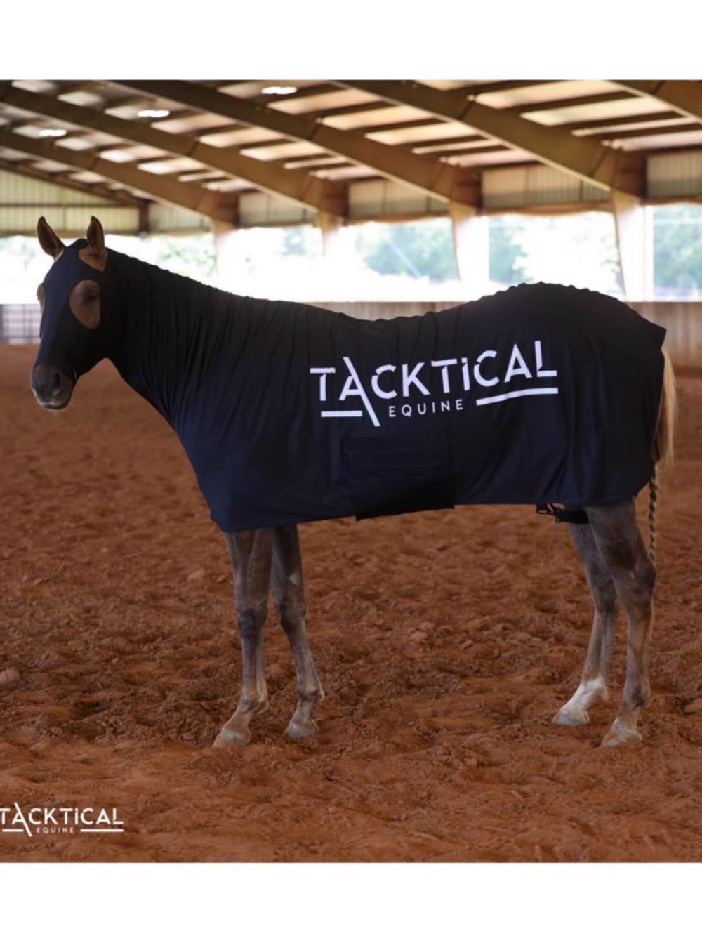Black Lycra Full Body Horse Hood & Sheet